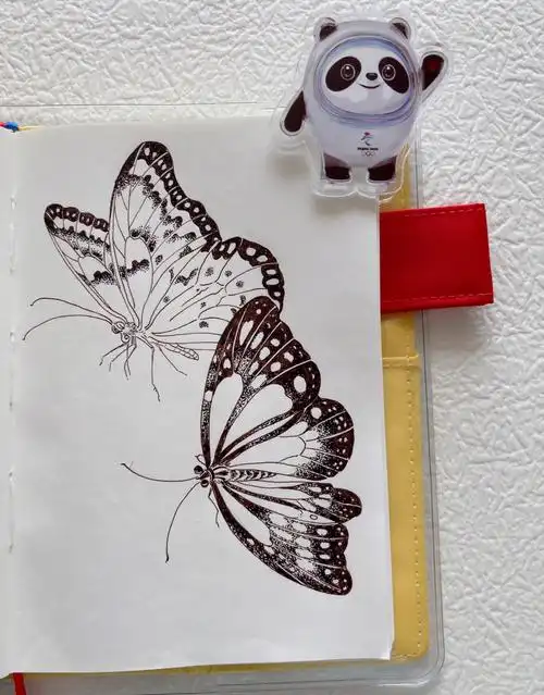 a6手帐本线描每日一画蝴蝶8