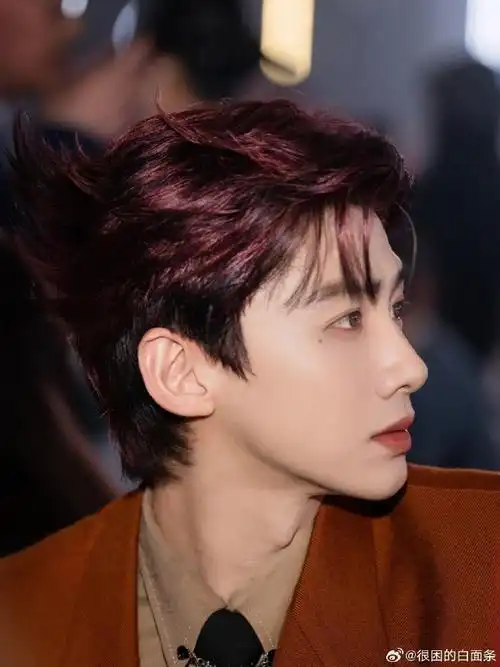 白敬亭支持张若昀新剧