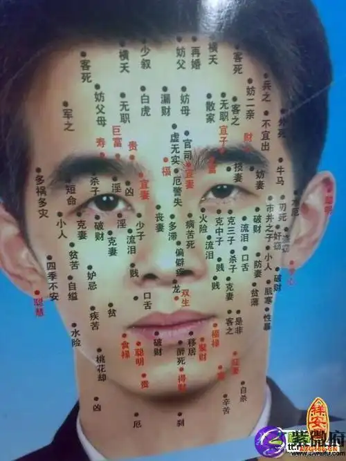 7.富痣.男人脖子上的痣一般是左贵右富,而大富大贵