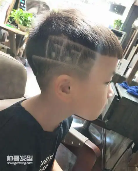 五岁男孩的发型的图片