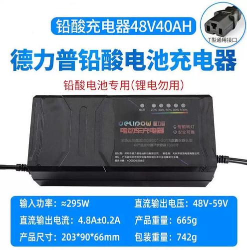德力普(delipow)电动车充电器48v电瓶车充电器电动车铅酸电池快