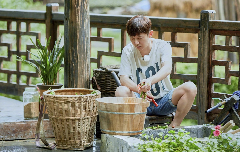 向往的生活红出圈翁草村蘑菇屋上了新闻联播太有出息