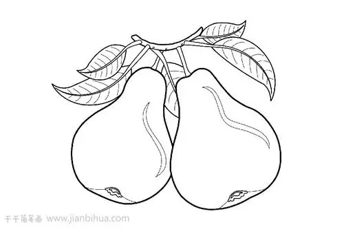 梨简笔画 亲子画