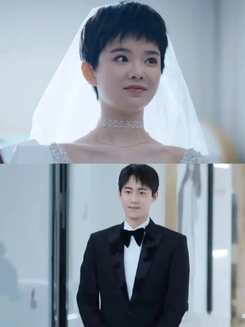 《向风而行》大结局我有话要说! 1.