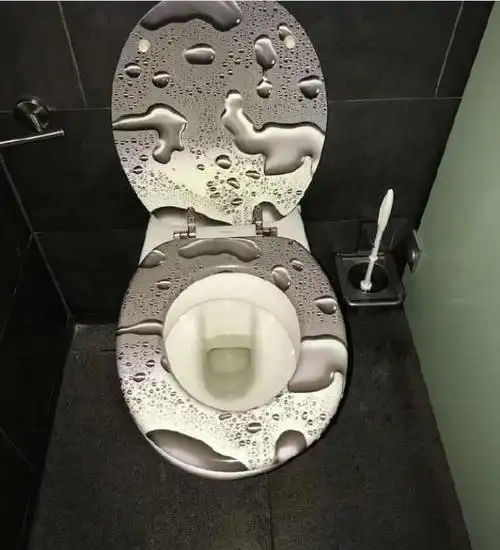 盘点全世界最奇葩的厕所你见过最奇葩的厕所长什么样