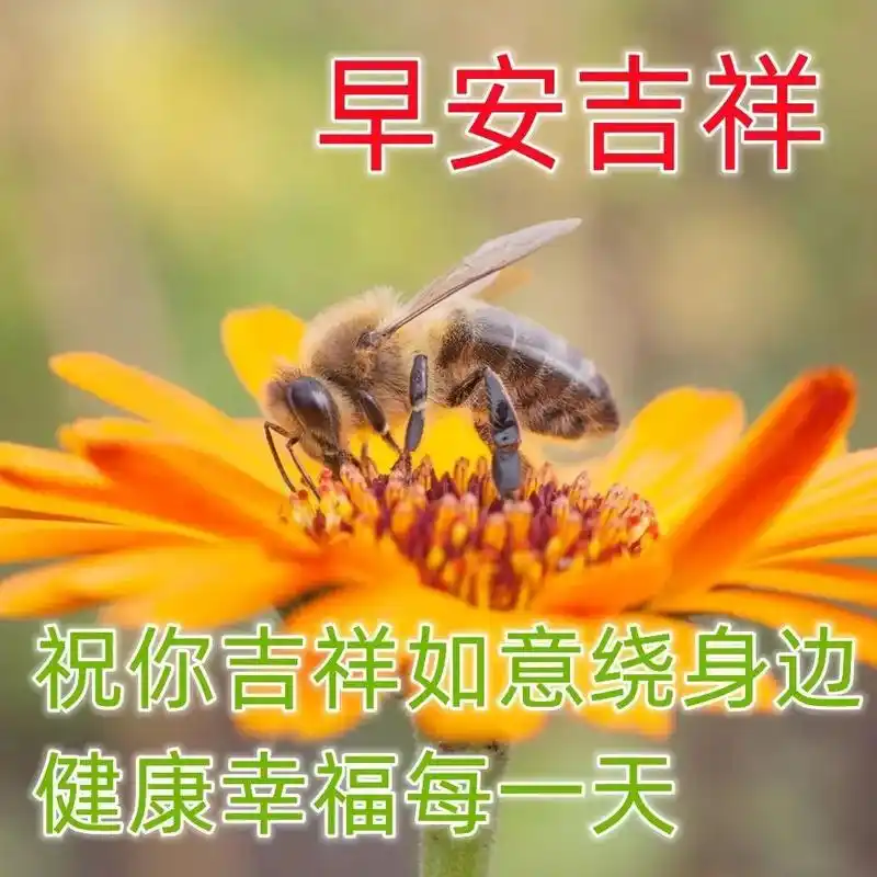 非常漂亮的早上好问候动态表情图片 最美早上好图片带字温馨