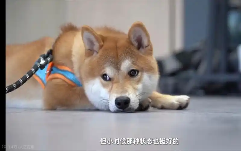 采访张真源 已经成为了一个很通透的成年人了