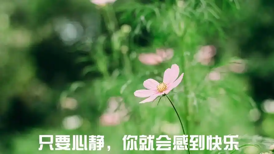 静下心,才能静静享受生活的美好