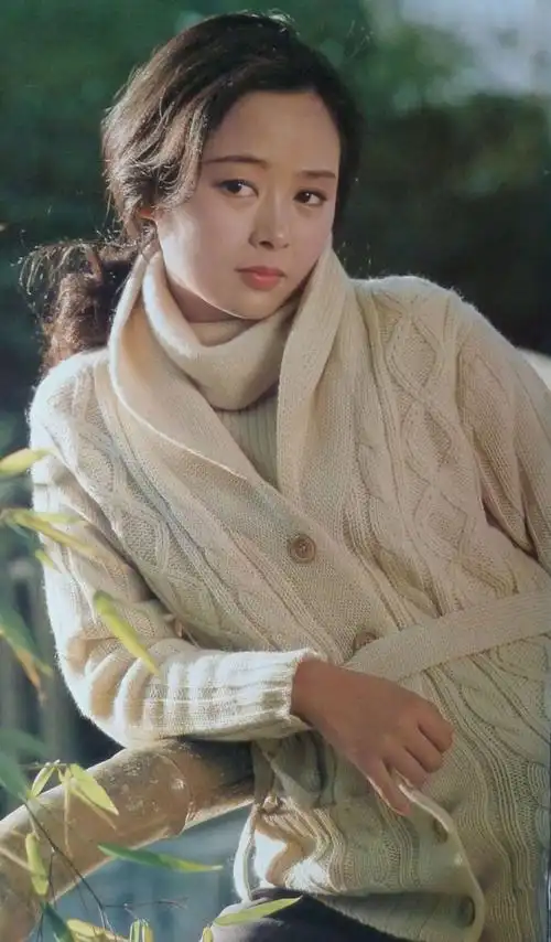 八十年代纯美的女明星