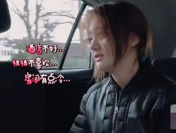 《花儿与少年》节目组搞事情,把郑爽放进去充数,秦岚公然吐槽|杨洋