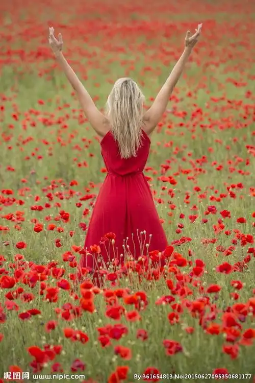 七律     映山红