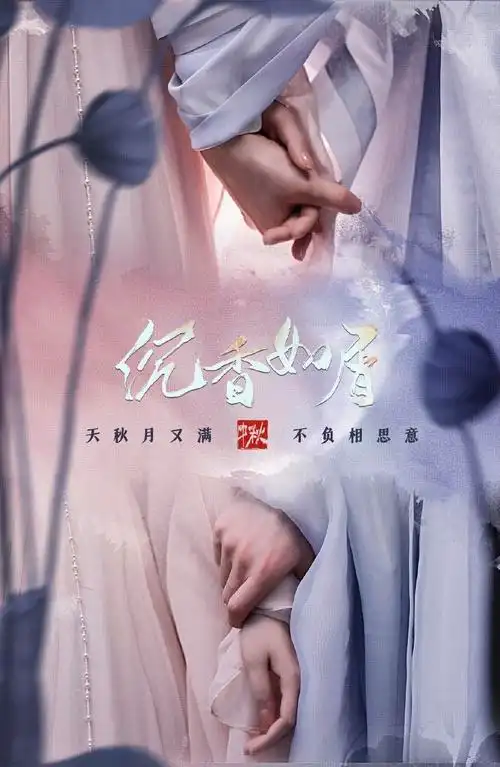 沉香如屑这个海报好看