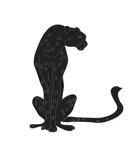 猎豹坐在图画剪影, 媒介, 白色背景照片