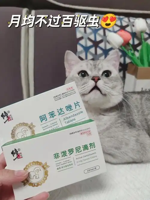 最值得一提的是三支修正非泼罗尼滴剂77修正阿苯