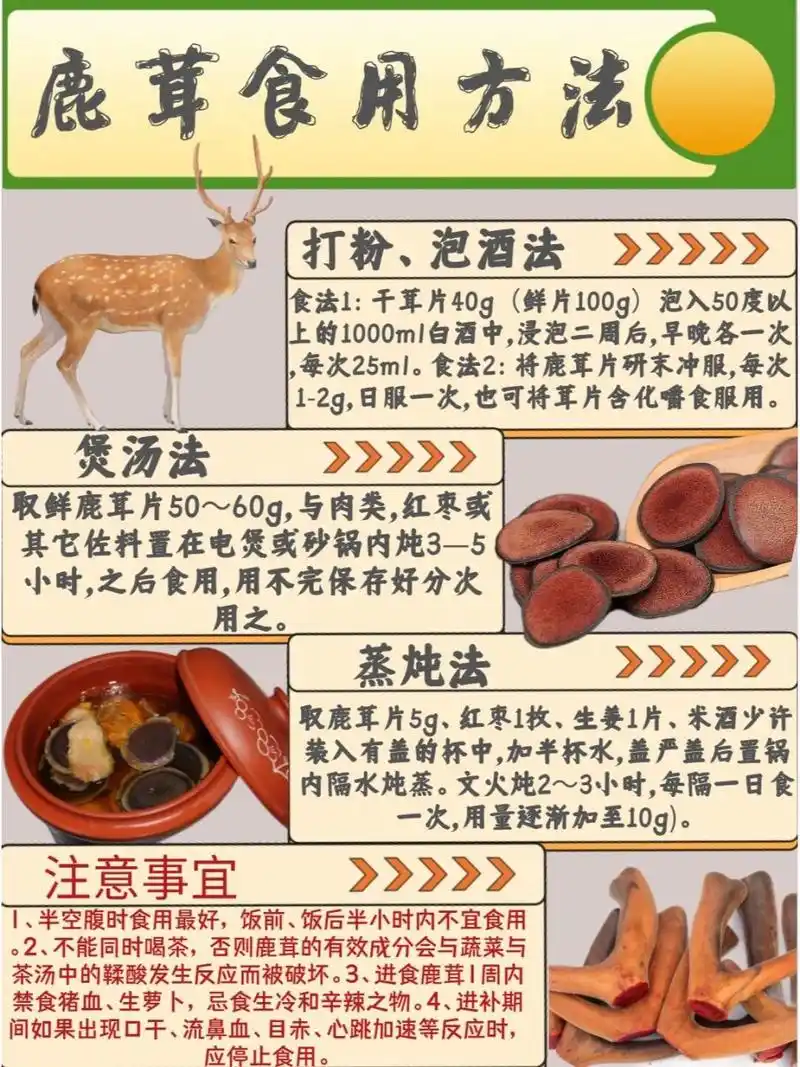鹿茸食用方法及注意事宜 食法1:干茸片40g(鲜片100g)泡入50度以上的