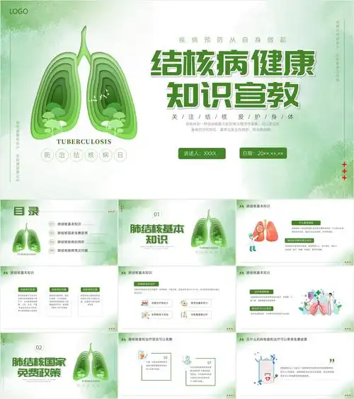 最新26套高质量2024世界防治结核病日结核病综合知识ppt课件