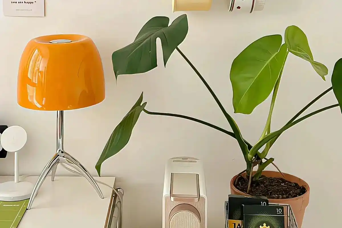 电脑桌面壁纸ins高级质感无水印 - 抖音