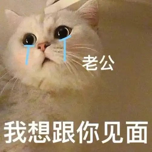 撩你家先生用的表情包