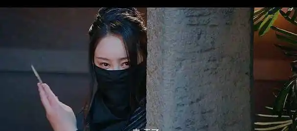就在县官招待锦衣卫时,一名蒙面女子前来偷袭.