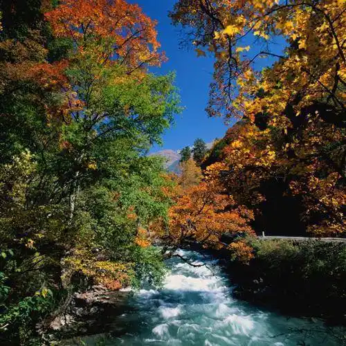 大自然的美干净治愈山水风景微信头像图片2022最新款_导读_标题_文章