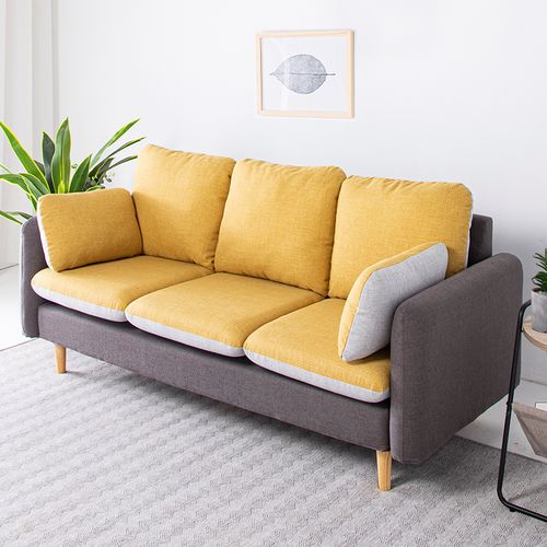 双人布艺沙发小户型简约现代网红款小型客厅公寓迷你两人2二人位