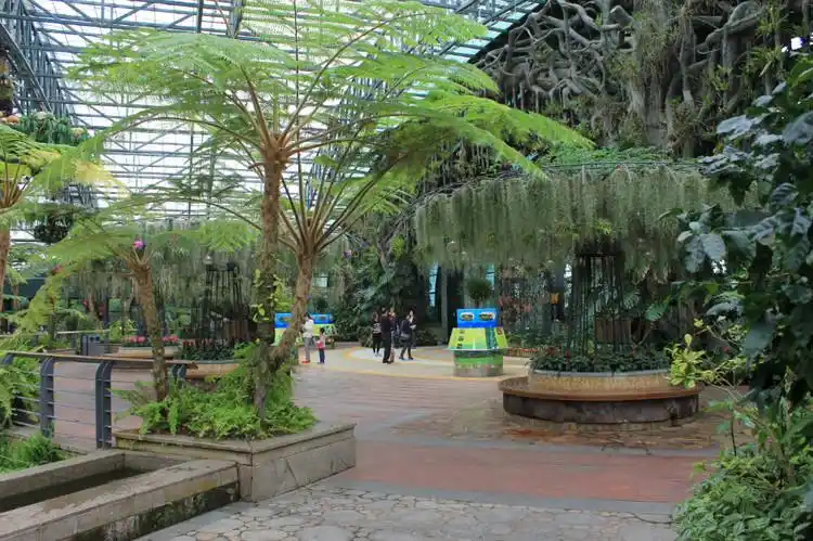 深圳东部华侨城之二:四季植物馆(摄影)