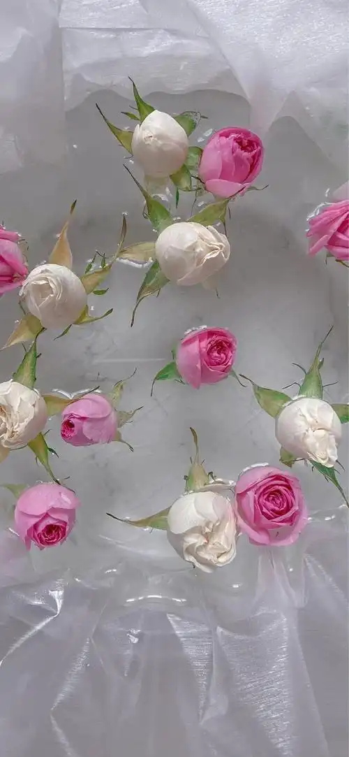 抖音最火电脑壁纸图片(超nice) - 赤虎壹号