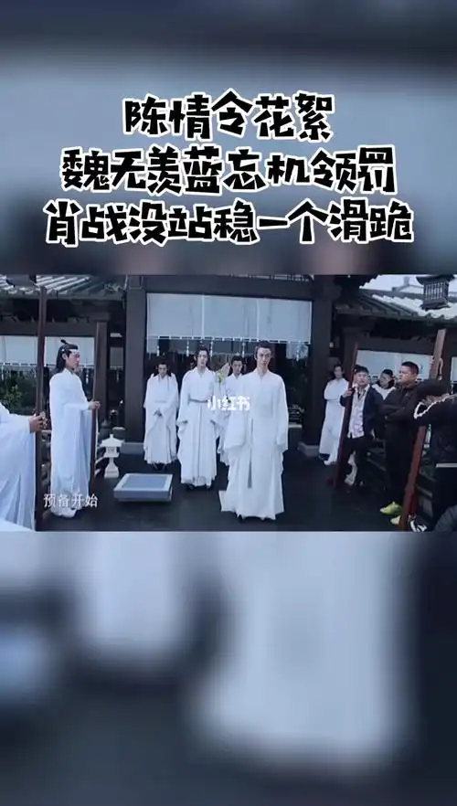 魏无羡蓝忘机罚跪肖战没站稳滑跪