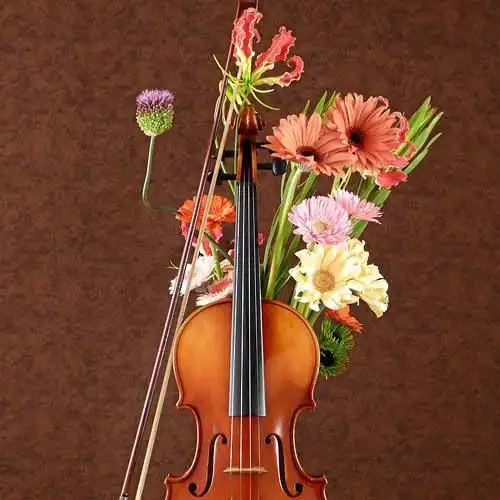 小提琴与花.