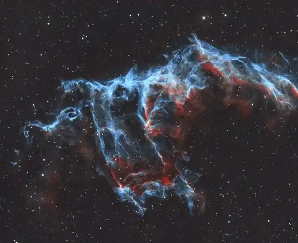 一只展翅的"宇宙蝙蝠"