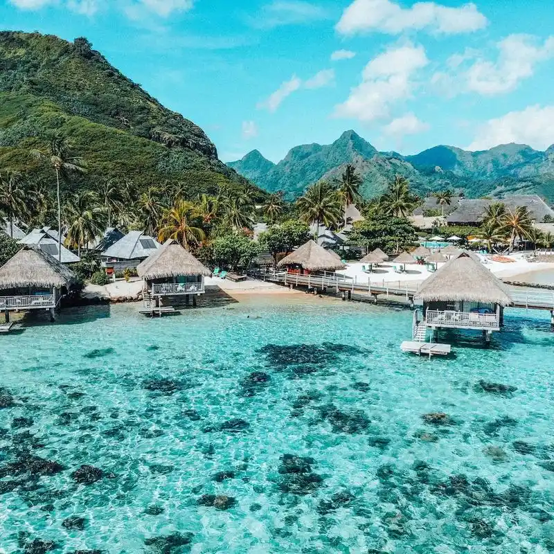 顶级海岛大溪地 全年唯一大促开始了!大溪地当地人所说的"la - 抖音