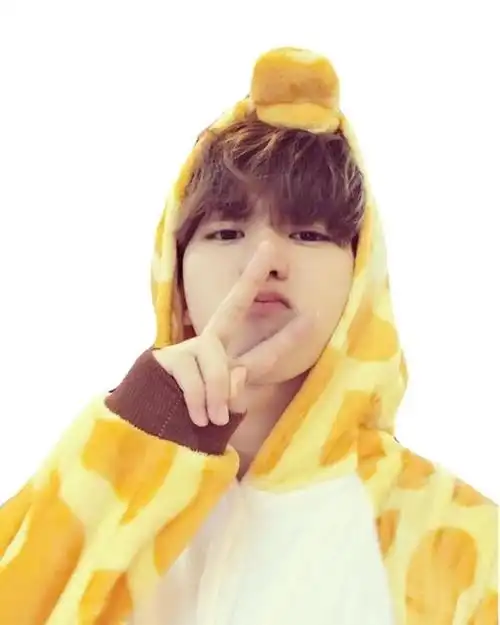 蔡徐坤的可爱小秘密被发现了!戴上帽子就变身可可爱爱的猪咪宝贝