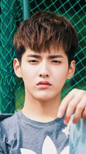 exo 吴亦凡 kris 明星 美男