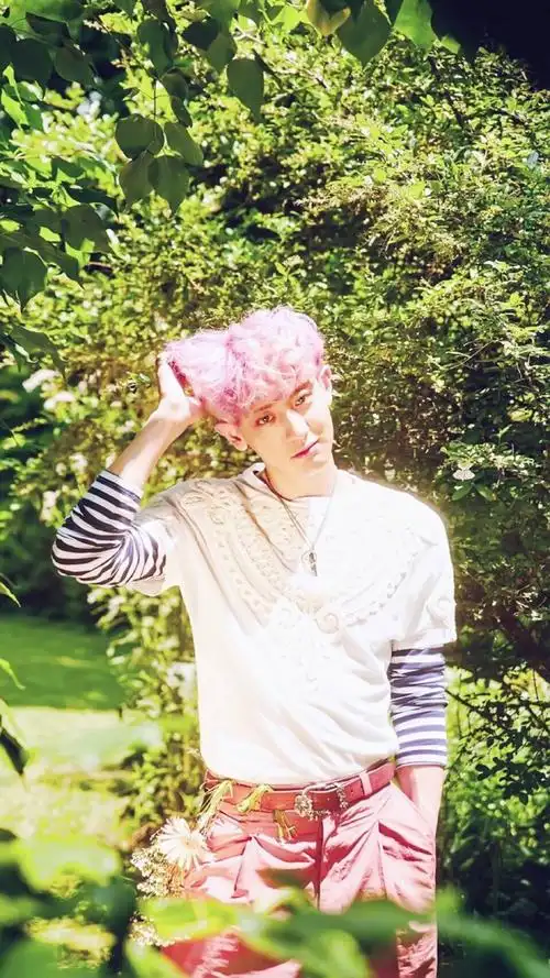 可以一天换一个的壁纸 朴灿烈kokobop