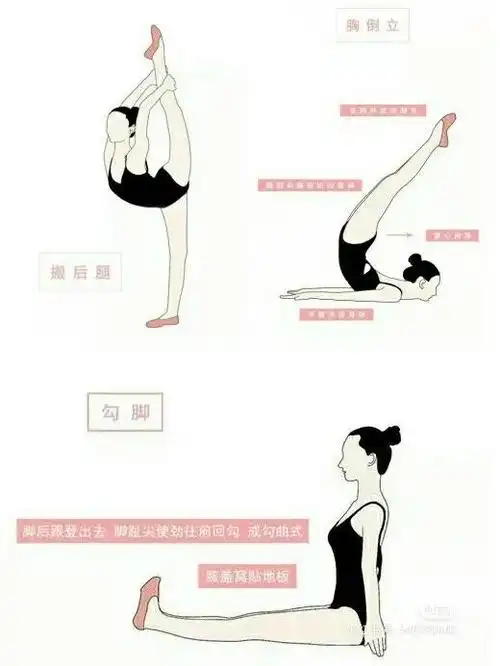 怎样学跳舞基本步舞蹈基本功训练动作教程