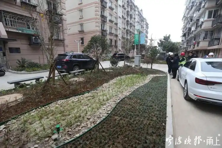 日湖家园的雨水花园