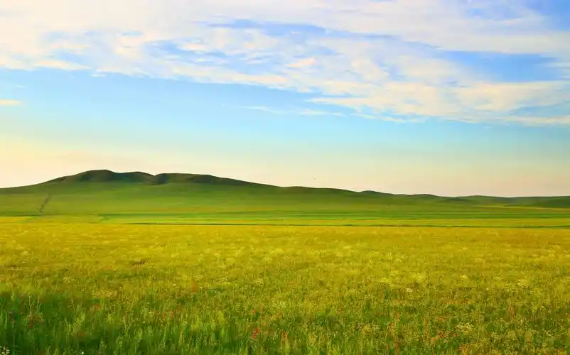 美丽草原遍地花,——天边草原乌拉盖风光
