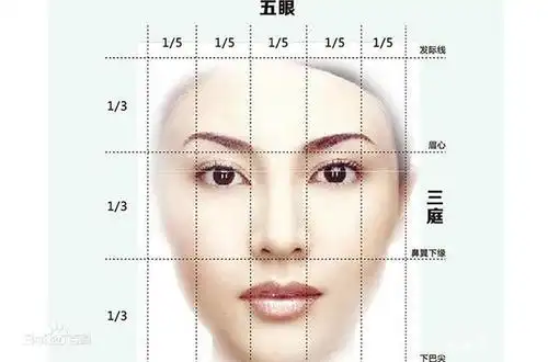三庭五眼示意图