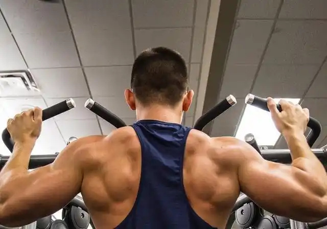 既要背变宽,也要线条好,高手必练的高位下拉还有这几招|肌肉|背部肌肉