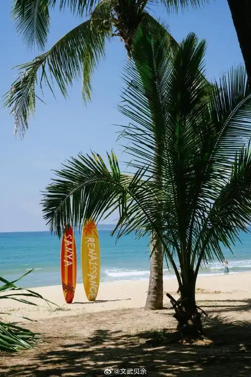 三亚海棠湾万丽酒店 —— 热带天堂的奢华体验 90    如果你梦想着