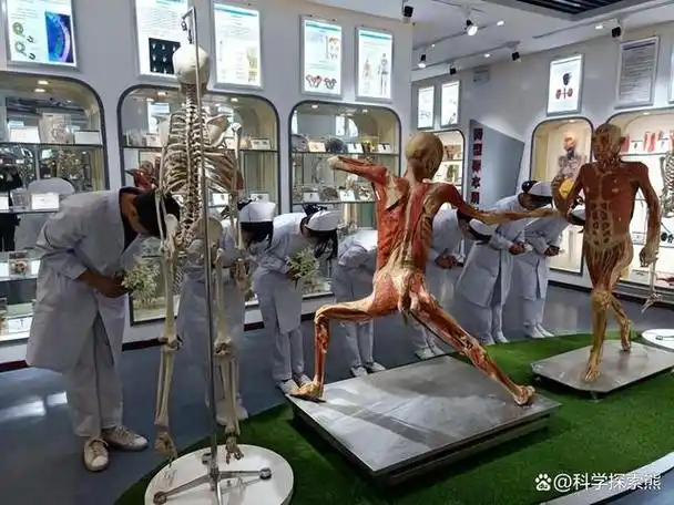 亦称为"沉默的导师",指用于医学领域解剖学实习的人类遗体