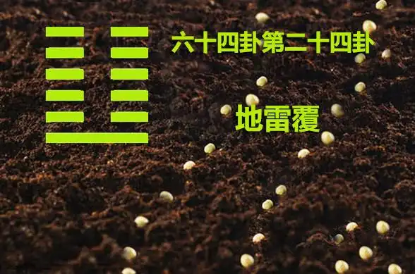 周易第二十四卦地雷复