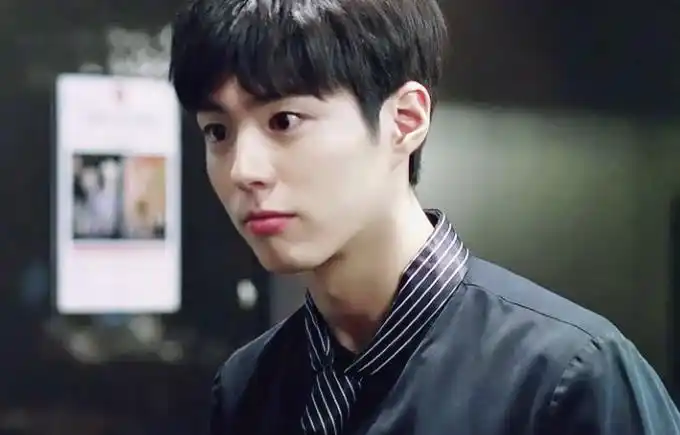 隶属韩国演员组合5urprise. 第二名:朴宝剑-16.74% 朴宝剑,1993