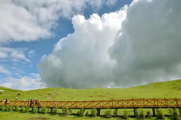 美仁草原是青藏高原上的高山草甸 有着独特的美景