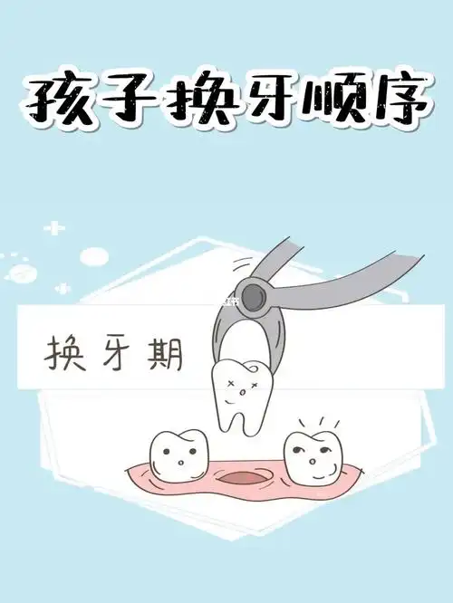 换牙顺序:切牙 → 第一磨牙 → 双尖牙 → 第二磨牙#happy瑞鲨口腔