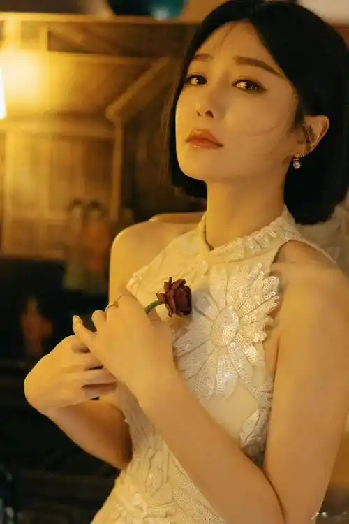 榜妹热线张新成发展景甜资源秦岚新戏范世琦安排