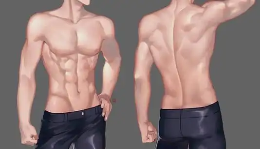 【#绘画素材#】腹肌素材~#绘画参考##绘画##画画