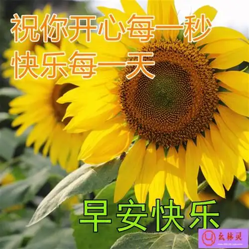 早上好问候语图片表情大全_早上好阳光句子(带句子的图片)