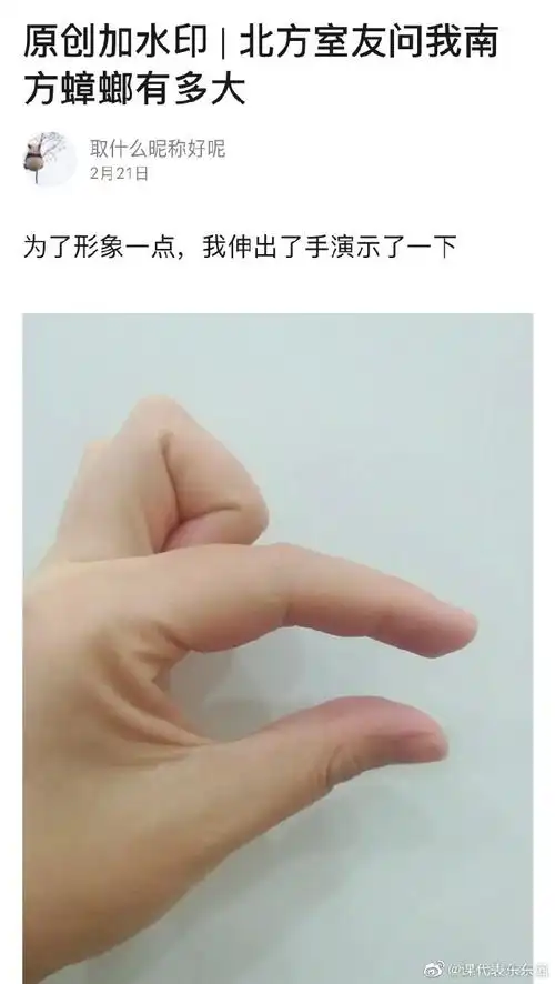 用手比划南方蟑螂大小