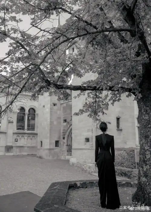 树下美人刘亦菲黑白照,凝视着远方的背影照,小蛮腰盈盈一握.